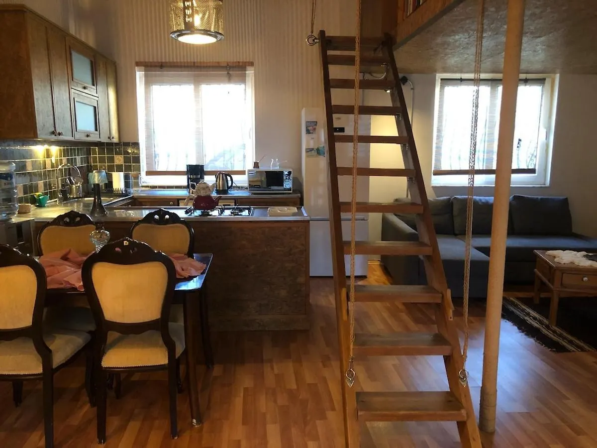Antalya Kaleici Gorgeous Location Detached House With Detached Garden别墅 土耳其
